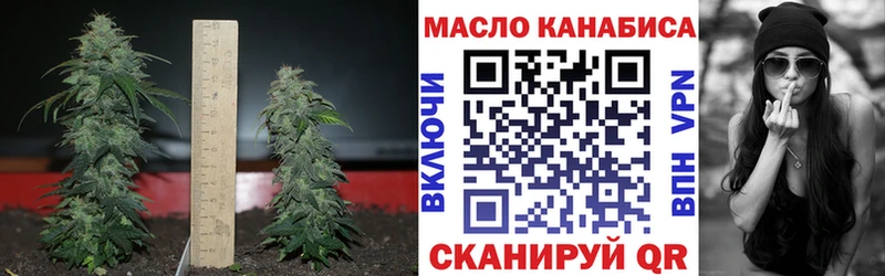 KRAKEN как войти наркота Тула Дистиллят ТГК вейп