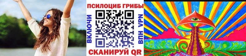 закладка  Тула  МЕГА как зайти  Галлюциногенные грибы мухоморы 